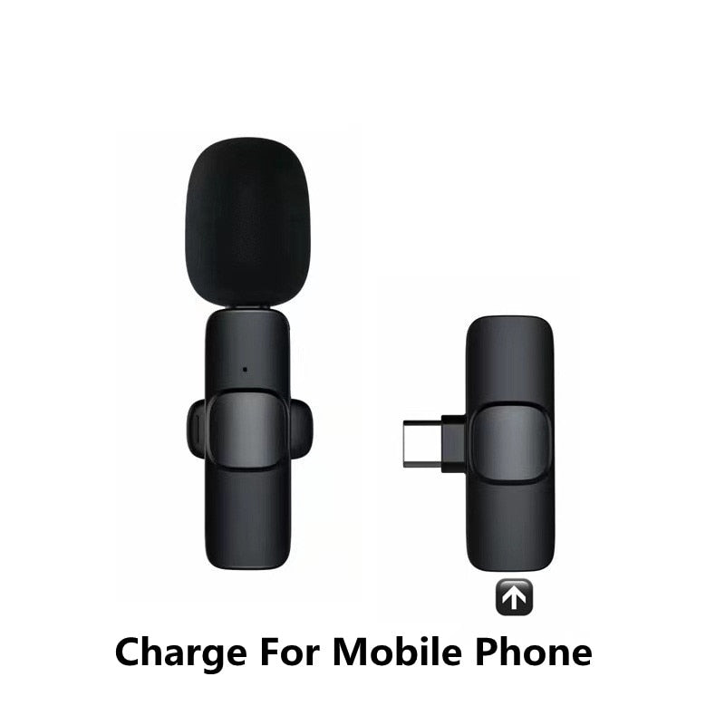 Professional Wireless Lavalier Microphone