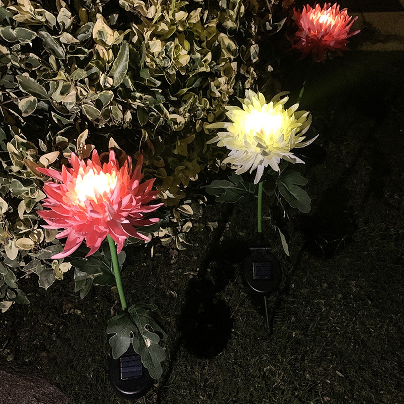 Solar LED Chrysanthemum Light