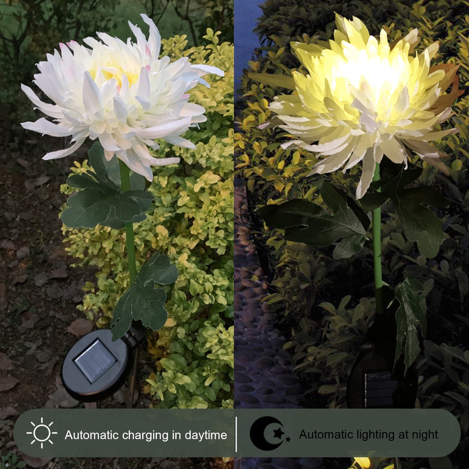 Solar LED Chrysanthemum Light