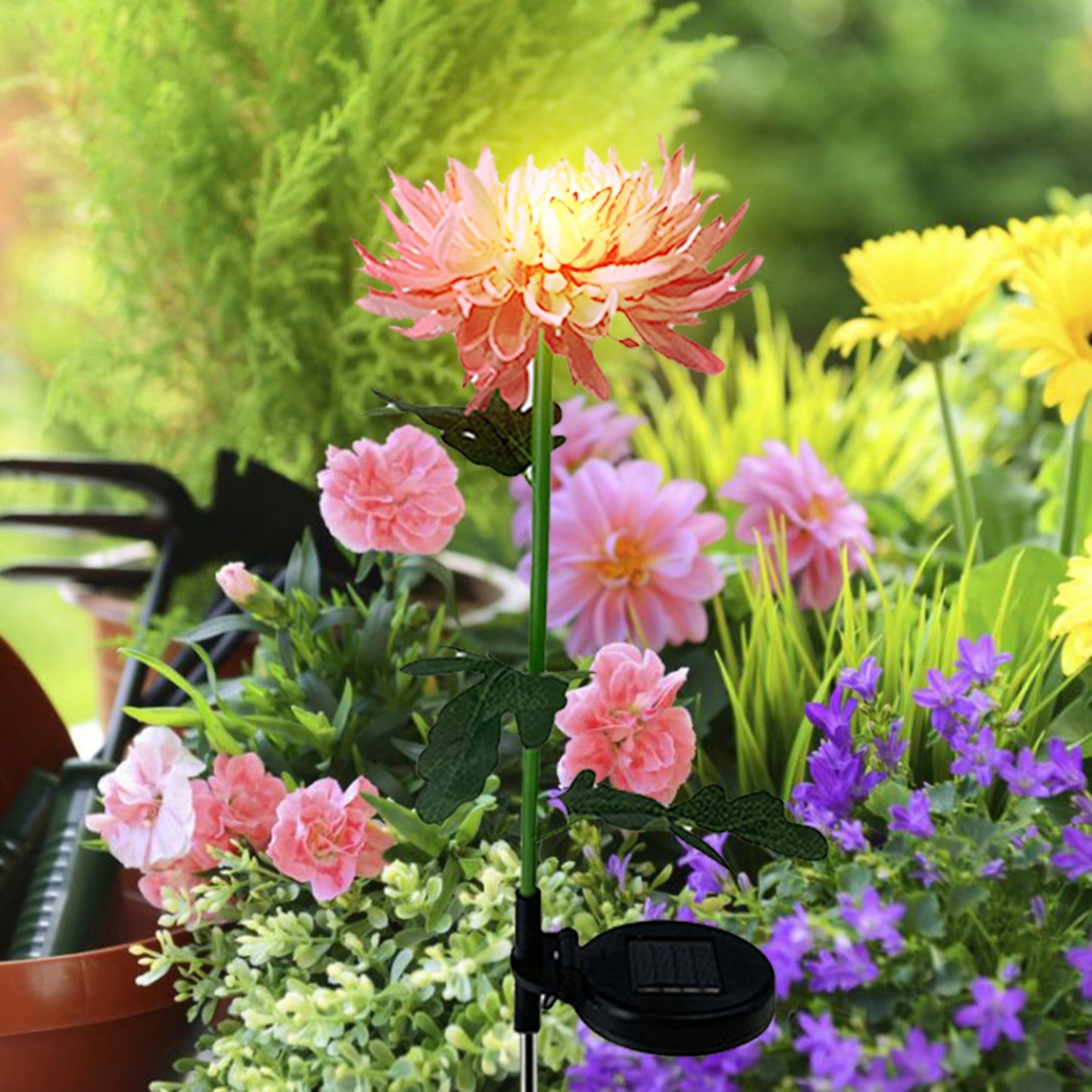 Solar LED Chrysanthemum Light